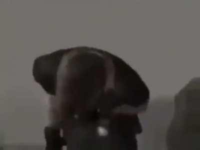 rodentintercourse - Video #7857