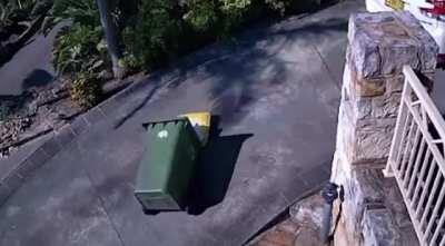 Trying to save effort by towing the garbage can up the inclined driveway