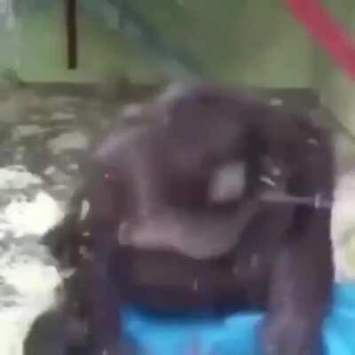 Goodnight girl, I’ll see u tomorrow