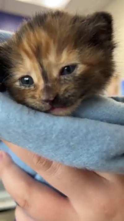 Yet another dirty criminal apprehended!