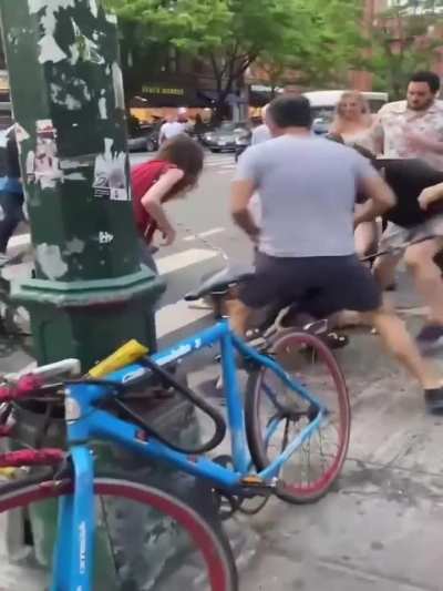 Chihuahua mauled by pitbulls in New York