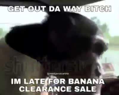 he late for banana clearance sale
