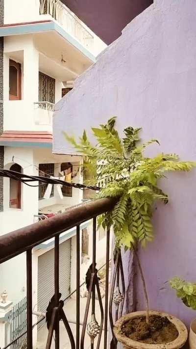 Need another class innings like this from REAL THALA tomorrow 💪 