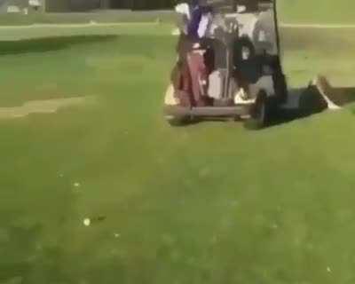 Idiots in golf course.