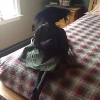 Shitpost 207 nadie los de las Creepypasta después de no le di importancia