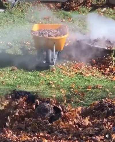 This made me smile so hard😍