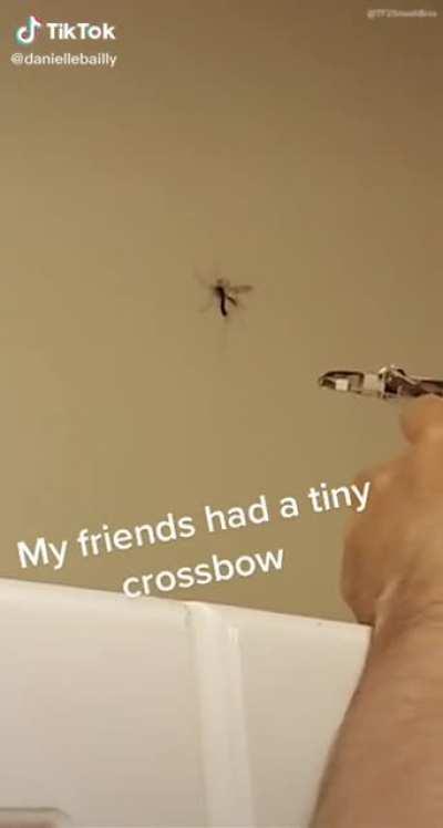 How interesting... Just look at that.