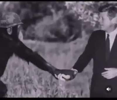 Monke serves his nation proudly