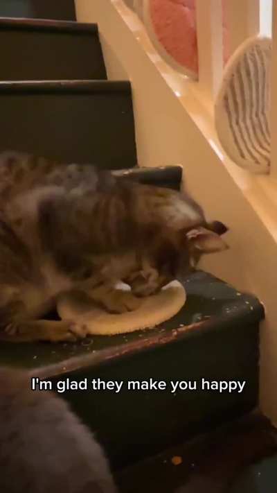 Like many people on the Internet, Harpo had a hard time just letting others enjoy things.