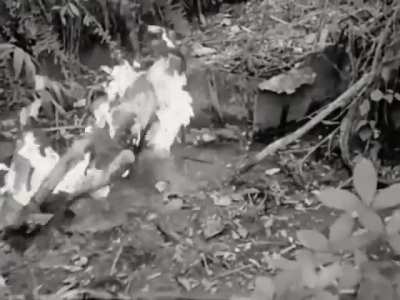 US M2-2 flamethrower in Australian 9th Division service sets a Japanese solider ablaze during the Battle of Labuan in June 1945