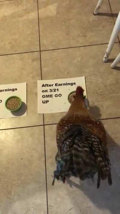 Eggon says “GME go up” after earnings. ⬆️