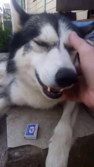 This song kinda sounds familiar