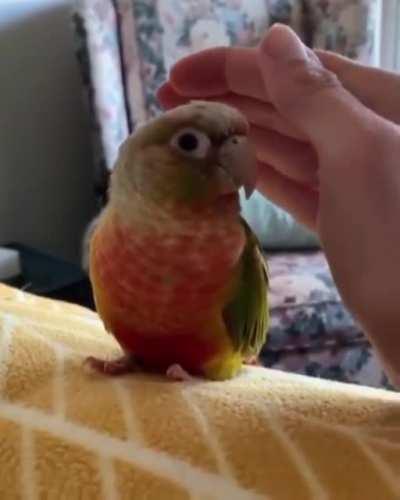 Feeling safe when you’re around