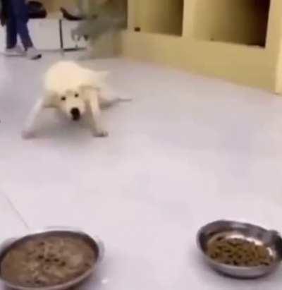 You're not you when you're hungry 😂