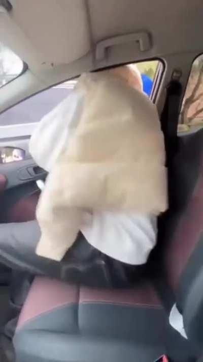 bro just accepted it