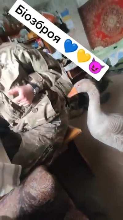 We had beaver corps now it is time for goose squadron!