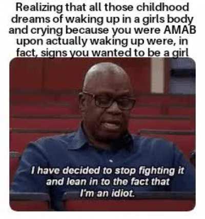 Accepting I'm so very very dumb was the first step in accepting I was trans