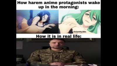 Live Budanov Reaction