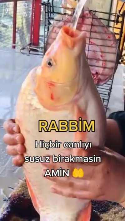 amin😭🤲🤲🤲🤲🤲