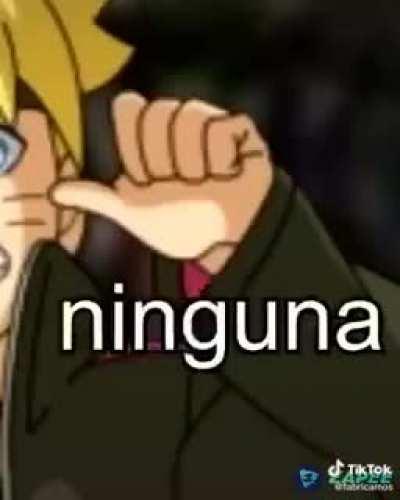 Acá tengo carne de ioma (re largo el meme)