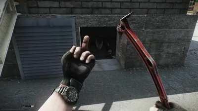 Hatchling meets hatchling