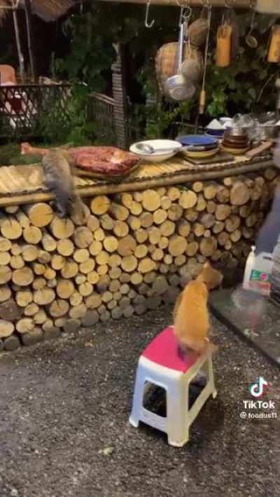 What a meal at a monster hunter's home would be like: