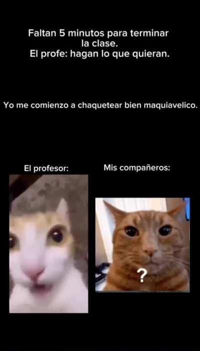 MomazosBeelce1 - Video #8932