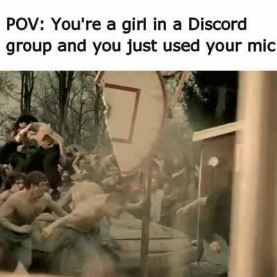 show me bob and vegan