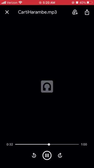 Update on the Carti Ai voice model.. lyrics + mix by me