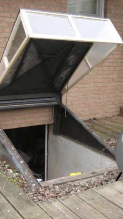 BFDI memes I made with capcut templates :3