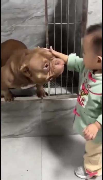 Thank god it wasn't Princess 