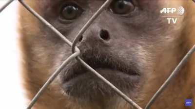 Mono orson Mono orson Mono orson Mono orslok Mono orslok Mono orslok Mono admin Mono admin Mono admin