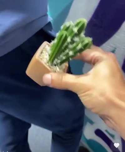 A very thoughtful gift!