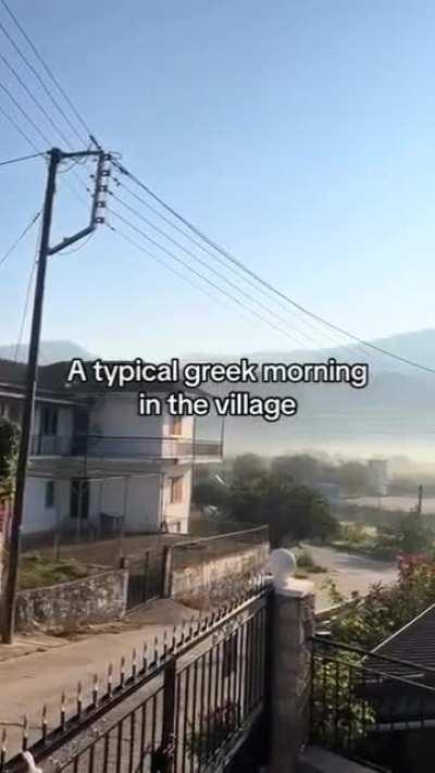 I love it when my Greek daddy screams at me 😏