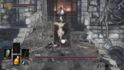 Encountering mini-boss in Elden Ring open world...