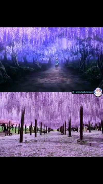 Anime vs Real life scenes
