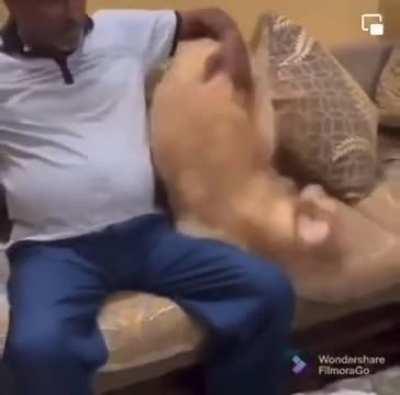 This is the most golden-retriever thing I’ve ever seen!