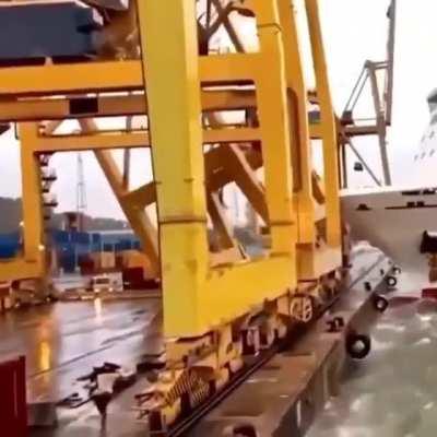 stupidity and the result