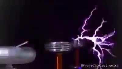 The last thing the ATF hears as they walk through the odd looking trees