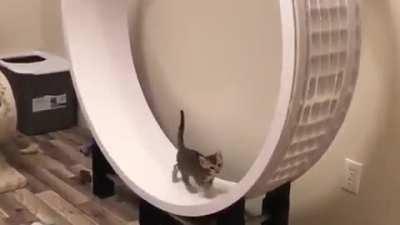 Power source of this subreddit