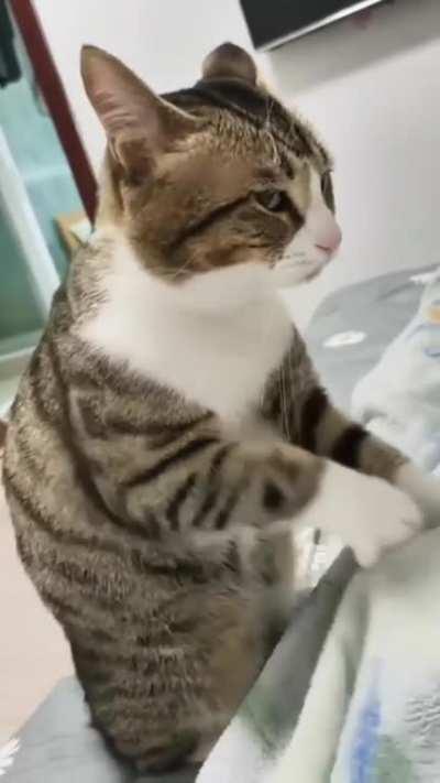 I cleaned the house and had to wash my clothes, but didn't give me any fish