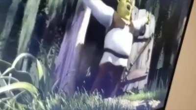 Me and the bois with shrek