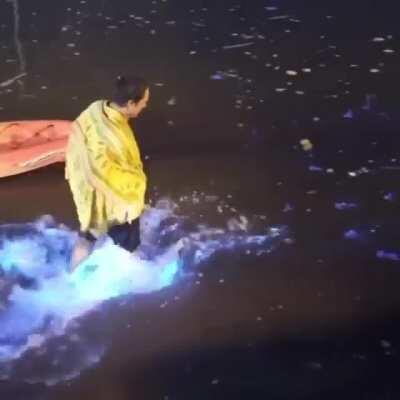 🔥 Walking through bioluminescent plankton