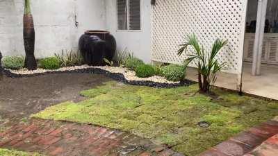 A nice rainy and windy afternoon. Calmsthe nerves.