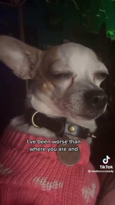 A break walks into a bar