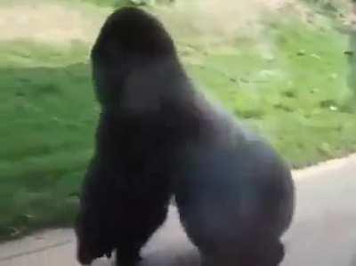 He looks like he's having fun