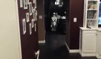 I wonder how warm it is in that costume?