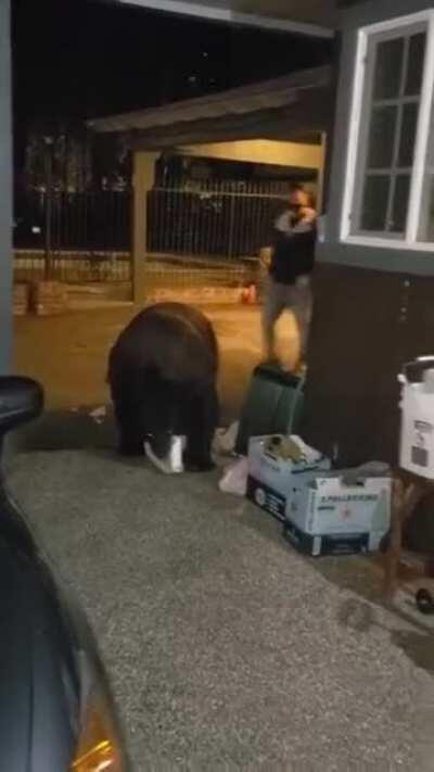 Hotel guest unknowingly walks right next to bear digging through garbage