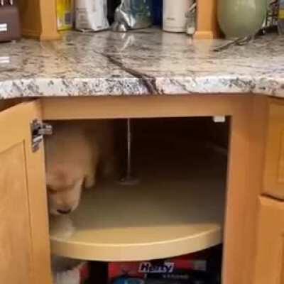 Round and round he goes