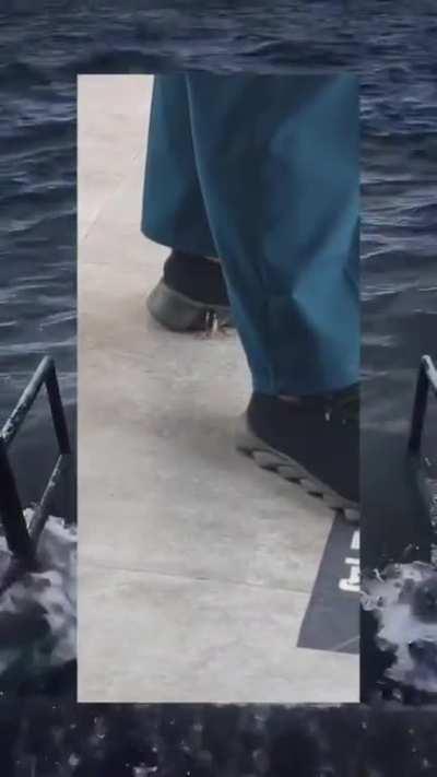 ♥️♥️♥️🪳♥️♥️♥️